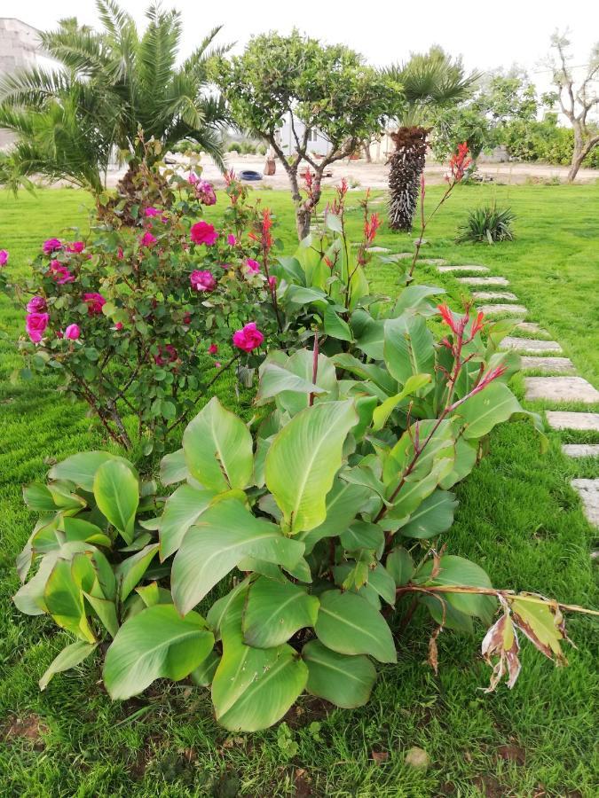 Il Giardino Dei Tramonti Bed & Breakfast Nardo Bagian luar foto